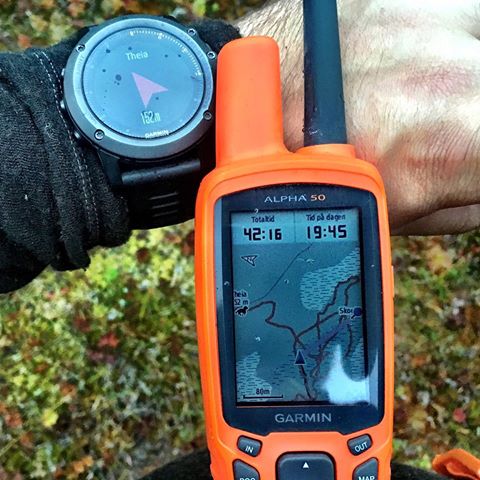 Garmin Alpha 50/T5 система слежения gps для собак