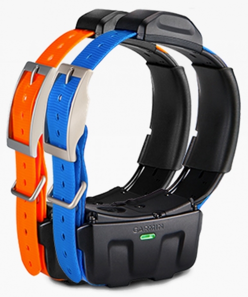 Gps ошейник Garmin T5 для собак