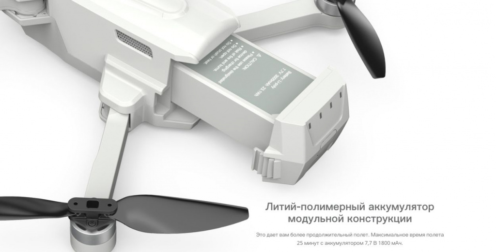 mjx-bugs-19-21.jpg