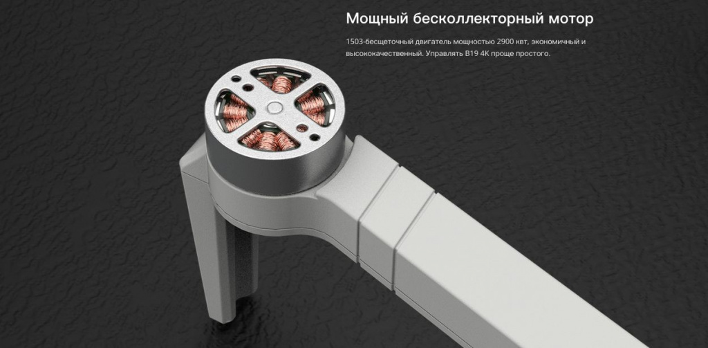 mjx-bugs-19-14.jpg