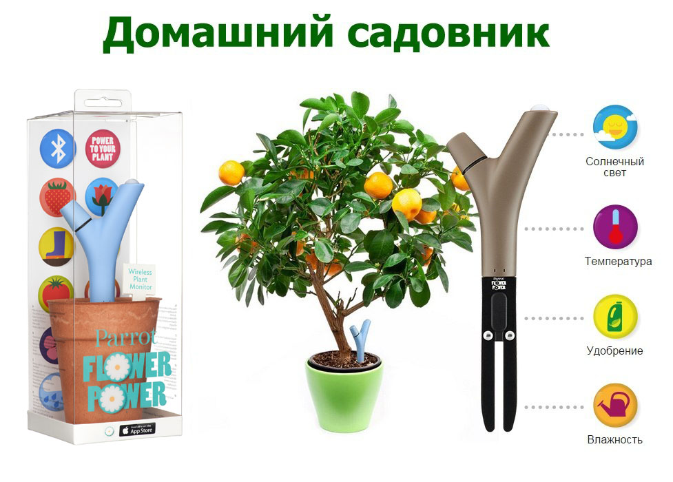 parrot-flower-power-datchik-dlya-rasteniya-1.jpg