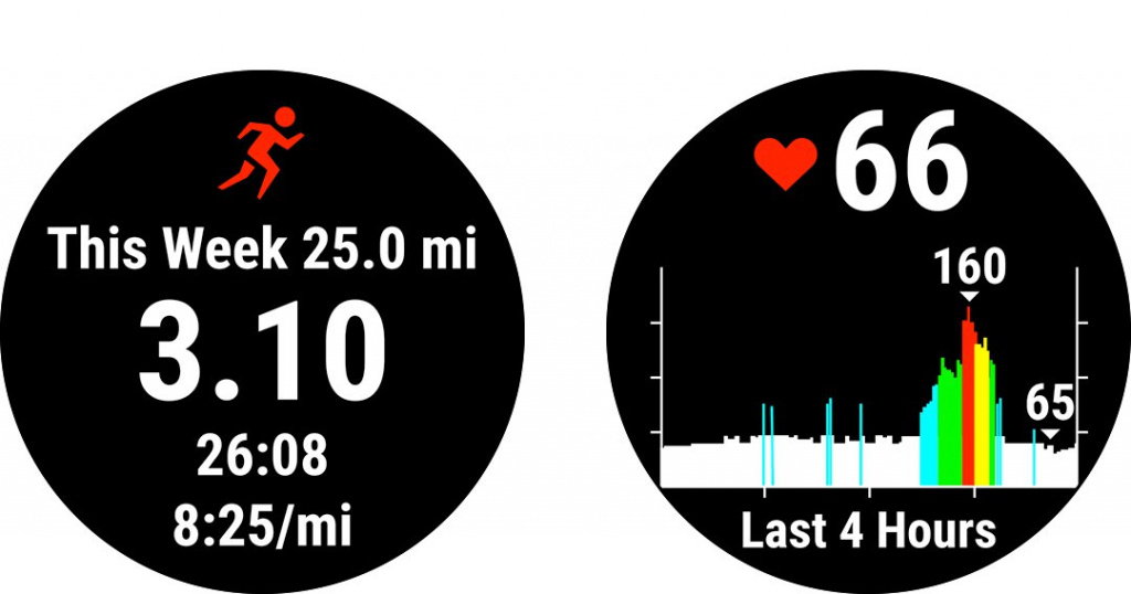 garmin-forerunner-45-chernyy-9.jpg
