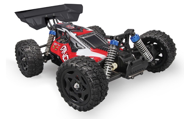 remo-hobby-dingo-brushed-4wd-1-16-radioupravlyaemaya-mashina-baggi-rtr-1.jpeg