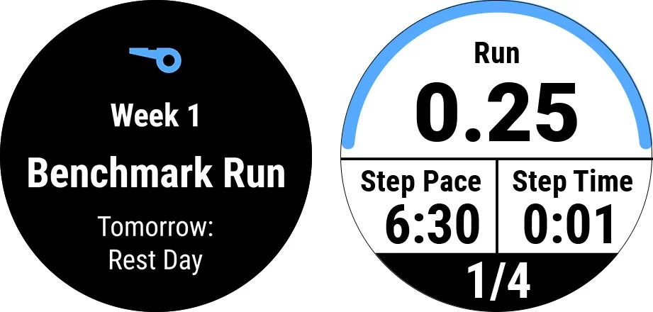 garmin-forerunner-245-4.jpg