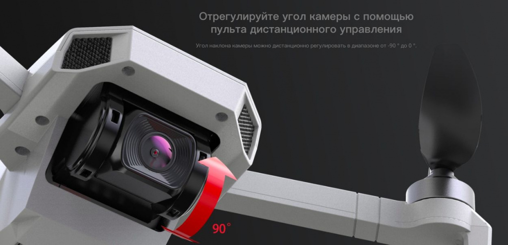 mjx-bugs-19-19.jpg