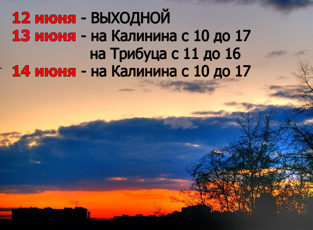 день.jpg