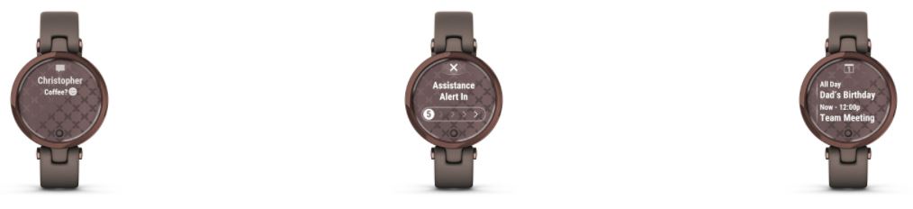 garmin-lily-temno-bronzovyy-bezel-korpus-tsveta-paloma-i-italyanskiy-kozhanyy-remeshok-14.JPG